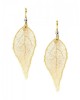 Gold Plated Leaf Drop Earrings with Crystals