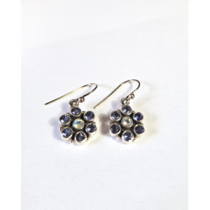 Moonstone and Iolite Silver Hook Earrings