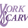 York Scarves