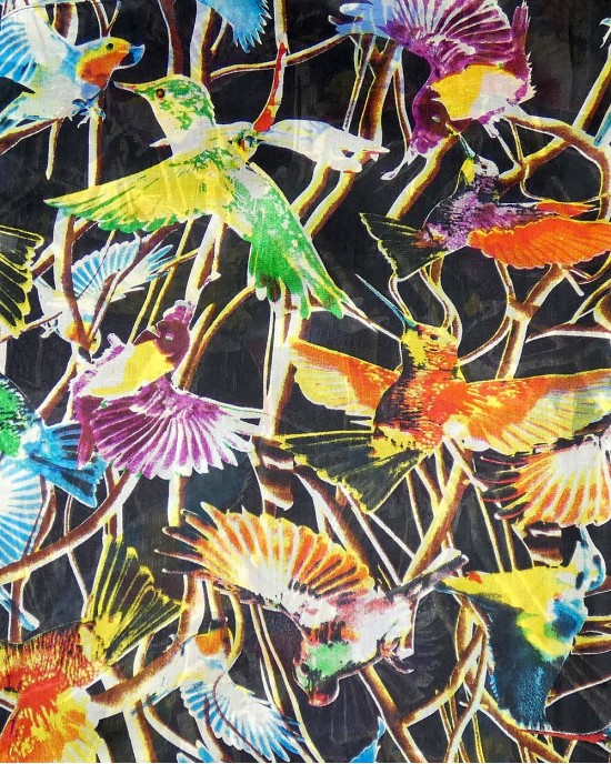 Hummingbird Silk Scarf, Black-SCARVES, SHAWLS, PASHMINAS Hummingbird Silk Scarf, Black